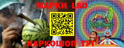 шишки Бузулук